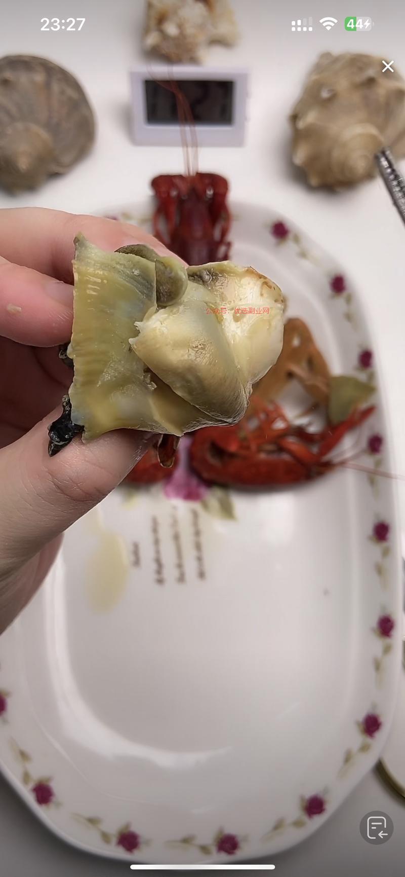 这种食品讲解类能吃不能…#情报-搞钱情报论坛-网创交流-优选副业网